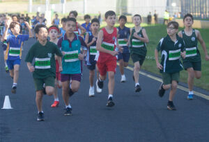 Primary Cross Country Championships 2022 Track